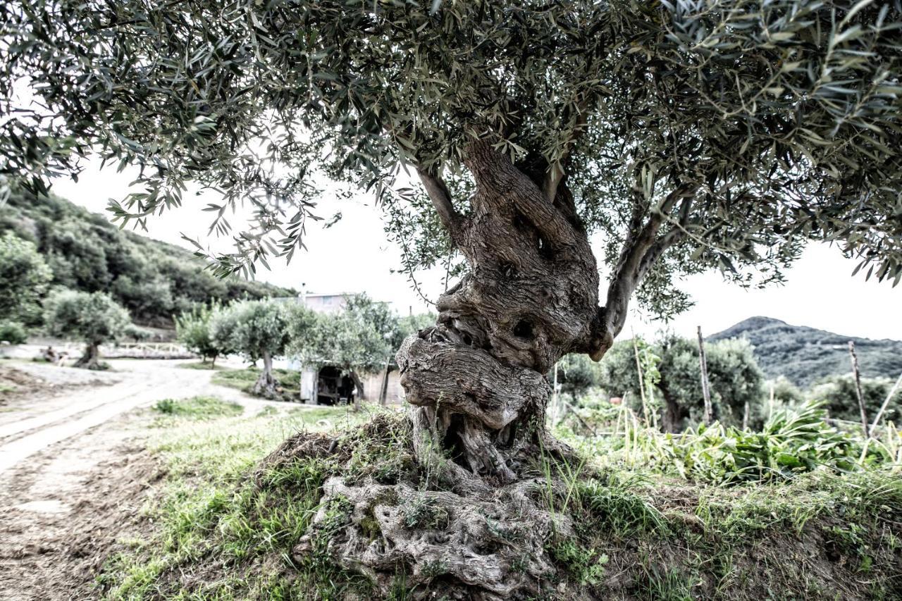 Borgo Rosso Di Sera Resort ซานลูซิโด ภายนอก รูปภาพ