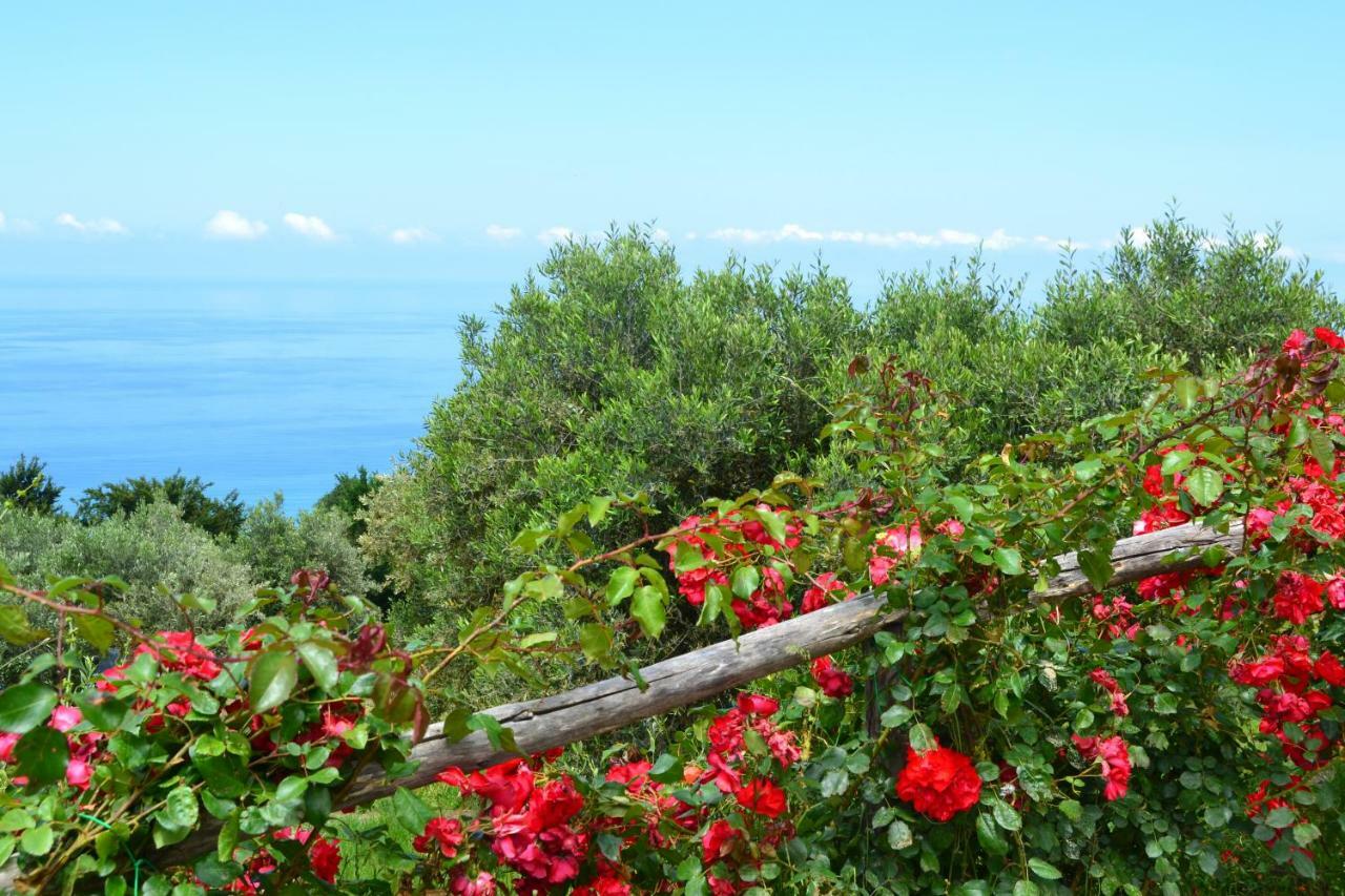 Borgo Rosso Di Sera Resort ซานลูซิโด ภายนอก รูปภาพ